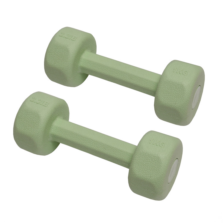 دمبل ۱کیلویی رنگ سبز مغز پسته ای با روکش ترموپلاستیک