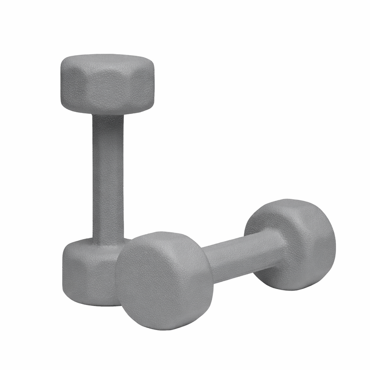 دمبل ۲ کیلویی آرکا فیت مدل ANT-2000 رنگ طوسی